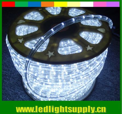LED 유연 LED 스트립 1/2' 2' 와이어 로프 단속등 저전압 24/12v