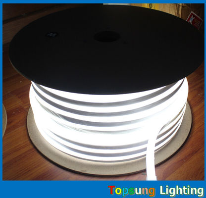 다양한 색상 10*18mm 크기의 LED 네온 조명 110/220/24 전압