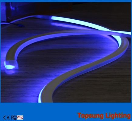 24v 파란색 장식 사각형 LED 네온 플렉스 라이트 PVC 정원 튜브