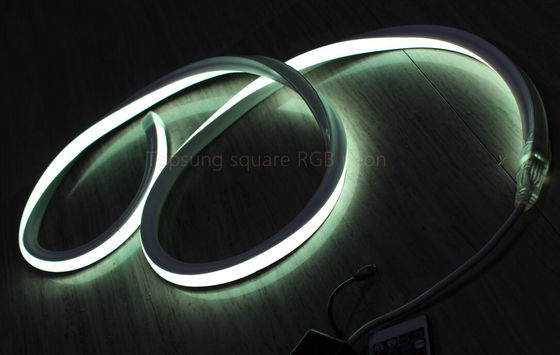 뜨거운 판매 RGB 16*16m 127V 평면 네온 LED 조명 중국에서 만든