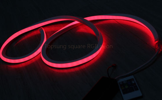 뜨거운 판매 정면 빨간색 24v 16*16m LED 네온 플렉스 조명 장식용