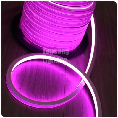 2016 새로운 분홍색 정사각형 12v 16*16m LED 네온 플렉스 라이트
