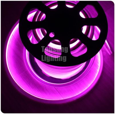 2016 새로운 분홍색 정사각형 12v 16*16m LED 네온 플렉스 라이트