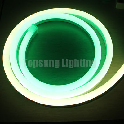 색을 바꾸는 LED 크리스마스 라이트 14*26mm 디지털 로프 라이트