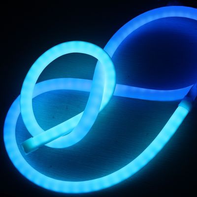 주문 중국 야외 방수 LED 유연 네온 튜브 빛 픽셀 LED 네온 플렉스 벽 표시