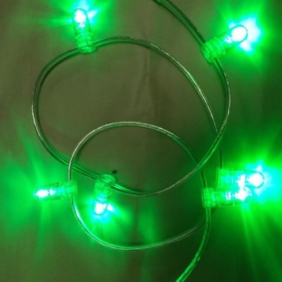녹색 PVC 크리스탈 와이어 DC 12V 클립 라이트 1000LEDs 요정 빛 줄 100m / 롤 LED 팟 라이트