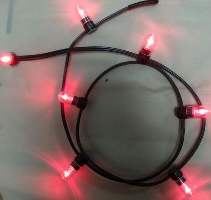 12v 저전력 LED 클립 라이트 100m/roll 크리스마스 라이트 LED 스트링 라이트 붉은 쌀 스트링 666 램프