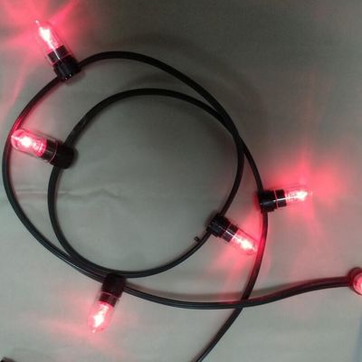 저전압 전동 LED 스트링 라이트 분홍색 크리스마스 LED 100m 스트링 666LED
