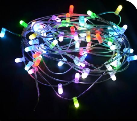 크리스마스 100m 666 LEDs 12V 플래싱 LED 클립 AU 웨딩 갈랜드에 대한 빛