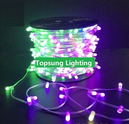 크리스마스 100m 666 LEDs 12V 플래싱 LED 클립 AU 웨딩 갈랜드에 대한 빛